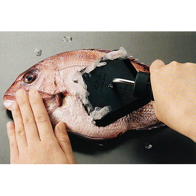 UrokoToru Fish Scale Remover – Suitable for Various Fish, Made in Japan