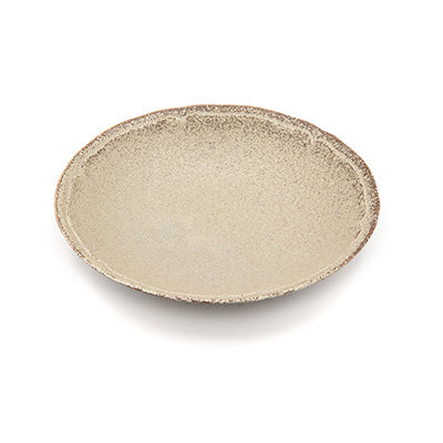 Ultra light tableware Pasta 22cm Minoyaki 2 plates set made in Japan