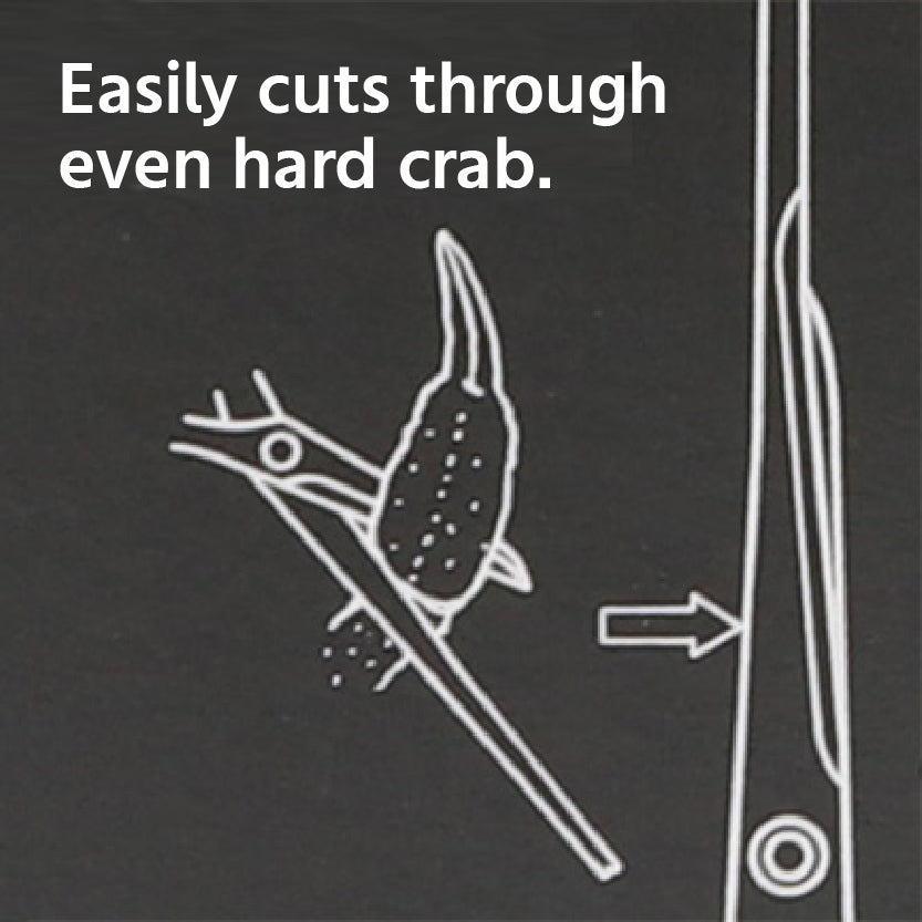 Silky Crab Scissors – Precision Tool for Thorough Crab Cleaning – Made in Japan