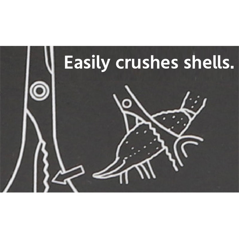 Silky Crab Scissors – Precision Tool for Thorough Crab Cleaning – Made in Japan