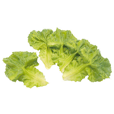 imitation vegetables Silicon Lettuce(5 pieces)