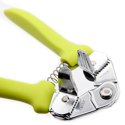 Ginnan Bouzu (New Model) Ginkgo Nut Cracker – Cleanly Cracks Without Crushing, Approx. 15 cm, Made in Japan