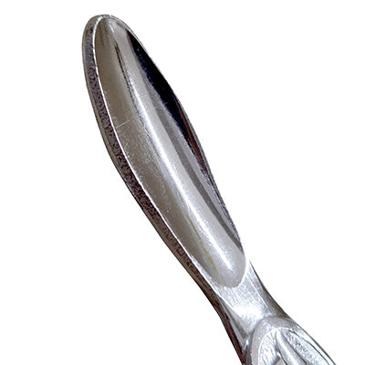 Stainless Whelk Fork 11cm　1 piece～